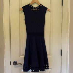 Ted Baker Navy Dress with Collar and Hem Detailing